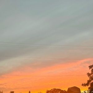 Meet your Posher, Kerry